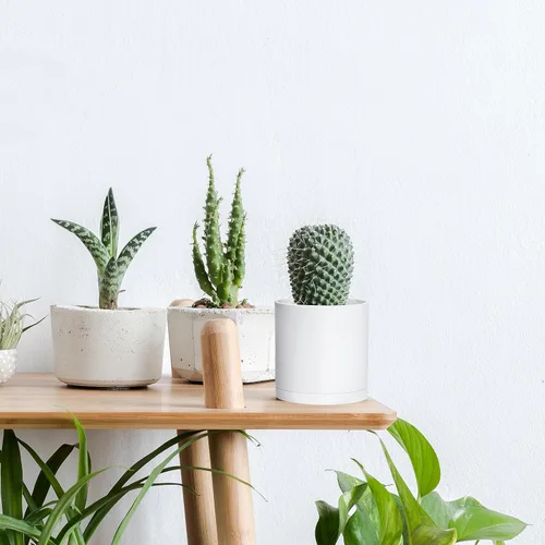 Vista 6 de D'vine Dev - Paquete de 2 macetas de plástico modernas de 4 pulgadas, pequeñas macetas de jardín para plantas con orificios de drenaje y platillos