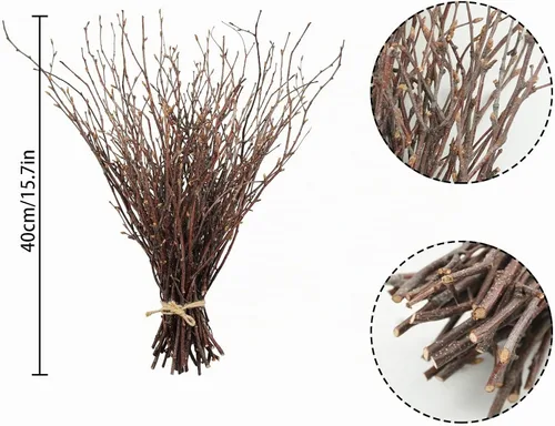 Vista 4 de Uieke 50 ramitas de abedul – Plantas secas naturales de 17 pulgadas, ramas de abedul decorativas para manualidades, palitos de abedul para jarrones