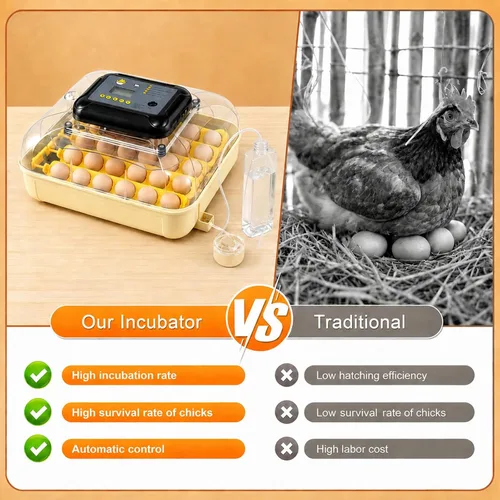 Vista 13 de Incubadoras de huevos para incubar 30 huevos con control de temperatura