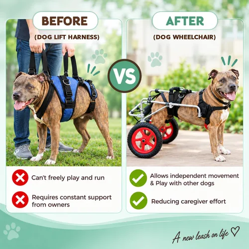 Vista 8 de Silla de ruedas para perro Best Friend Mobility tamaño extra pequeño