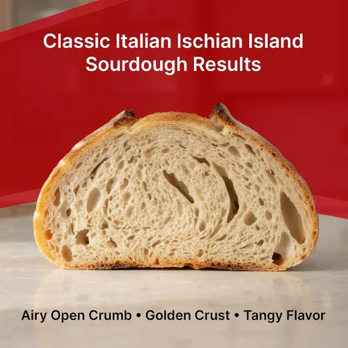 Vista 5 de Paquete de 2 iniciadores de masa madre de primera calidad – Cultivo de masa agria deshidratada estilo isla isquiana italiana con instrucciones