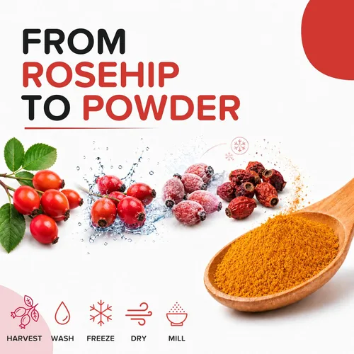 Vista 8 de Polvo seco de escaramujos – Polvo de vitamina C a base de plantas – Superalimento para apoyo inmunológico, vitalidad natural y envejecimiento