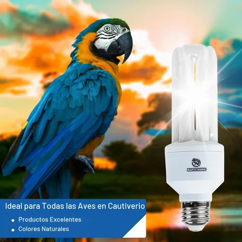 Vista 2 de Bombilla UVA UVB para pájaros 2.4 UVB 20W lámpara fluorescente compacta para todo tipo de aves cautivas