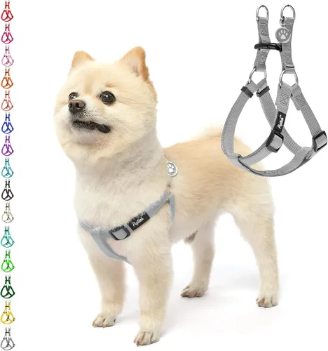 Vista 26 de Pupteck - Arnés para perros sin jalar, suave, ajustable, de nailon, talla básica, chaleco para cachorro, para caminar al aire libre con etiqueta