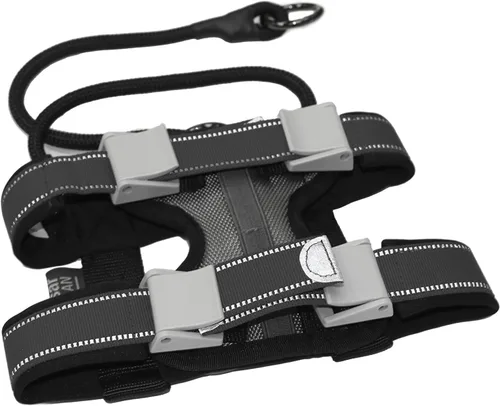 Vista 2 de Cesar Millan Pack Leader Collar - Collar de entrenamiento del perro susurrador (pequeño, azul)