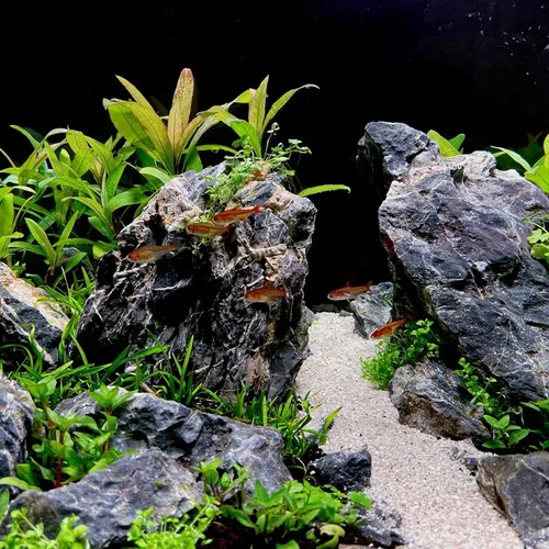 Vista 7 de Piedra natural Seiryu de 2 a 6 pulgadas, 4 piezas de rocas de acuario para paisajismo acuático, paisajismo de acuarios, terrarios, decoración