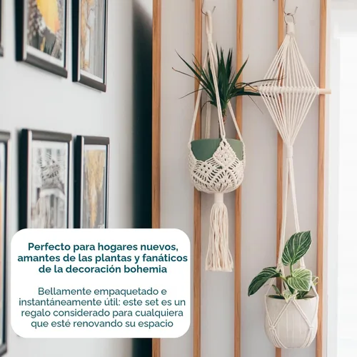 Vista 8 de Nook Theory Paquete de 4 Colgadores de Macramé para Plantas con 8 Ganchos - Macetas Colgantes para Plantas de Interior, Colgadores de Macramé Boho