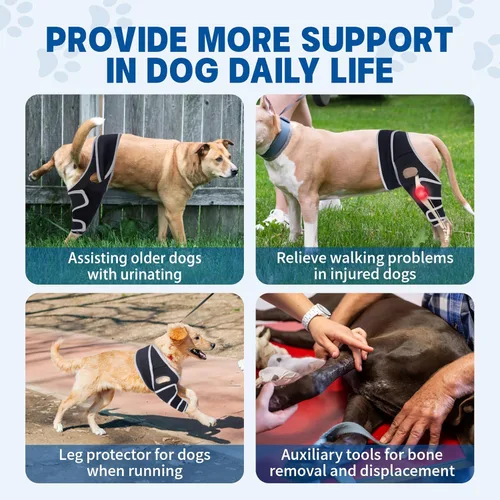Vista 3 de Rodillera para perro para pierna trasera desgarrada, rodillera universal para perro para cuatro patas, alivia lesiones de ligamentos, soporte