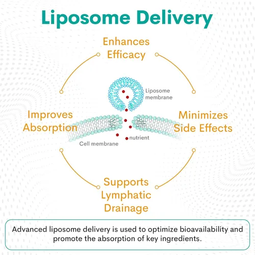 Vista 4 de Gotas de drenaje linfático liposomal de 2000 mg - Sistema linfático y apoyo inmunológico - Apoyo al equilibrio de líquidos - Suplementos