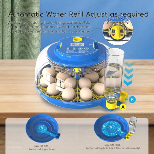 Vista 2 de Incubadoras para incubar huevos Incubadora automática de huevos con control de temperatura y pantalla de humedad de 12, 18, 48 huevos para pollo