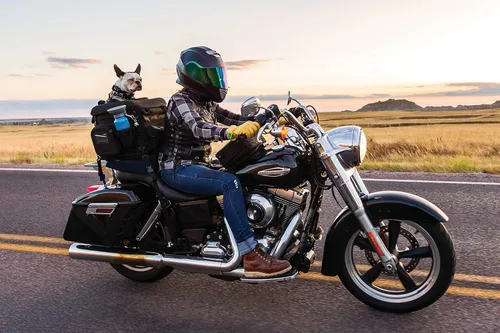 Vista 13 de Kuryakyn 5288 Grand Pet Palace: Transportador portátil resistente al clima para mascotas de motocicleta/gato/perro para portaequipajes o asiento
