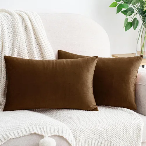 Vista 76 de HWY 50 fundas de almohada decorativas de terciopelo sólido para sofá, sala de estar., Terciopelo, gris, 20x20 pulgadas