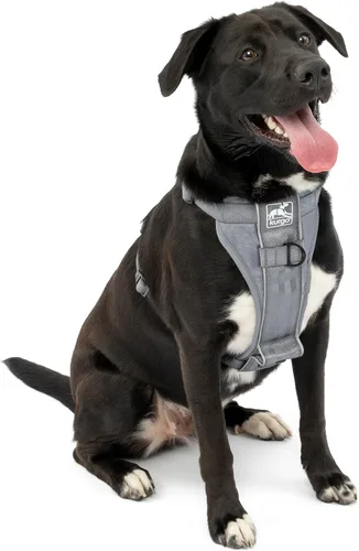 Vista 6 de Kurgo Tru-Fit - Arnés inteligente para caminar para perros, ajuste cómodo, arnés ajustable, reflectante para mascotas, liberación rápida