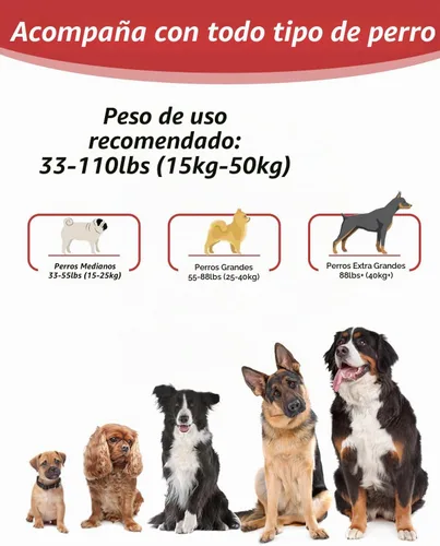 Vista 6 de Juego de correa para perro manos libres y cinturón de seguridad para Asas dobles suaves, absorben los golpes, clip de 360°, diseño reflectante