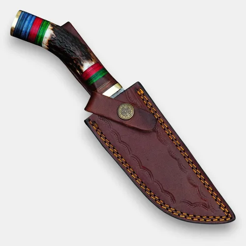 Vista 5 de Rait tail Hecho a mano forjado a mano Damasco caza/desollar cuchillo Stag/asta mango con funda