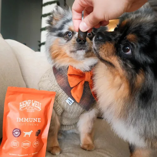 Vista 3 de Hemp Well Masticables suaves para perros de apoyo inmunológico: apoya un sistema inmunológico saludable para perros, de origen orgánico