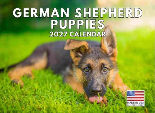 Vista 132 de Calendario mensual de pared Airedale Terrier Dog 2027