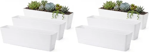 Vista 12 de GREANER - Maceta con bandeja para hierbas, 1 unidad, 12 x 3.8 pulgadas, caja rectangular para ventana, para flores o suculentas en interiores