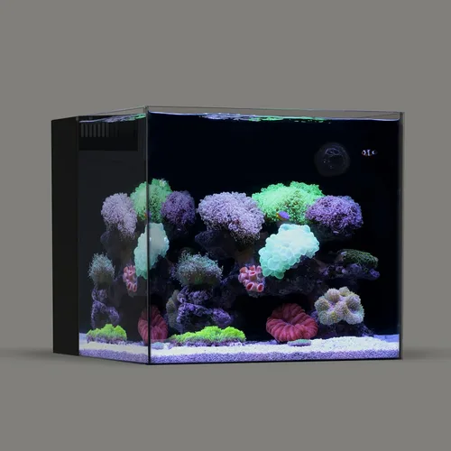 Vista 8 de LANDEN 35C Tanque de Acuario de Vidrio Ultra Transparente Sin Marco de Hierro Bajo de 7.2 Galones con Cámara de Filtración Trasera (Bomba Incluida)