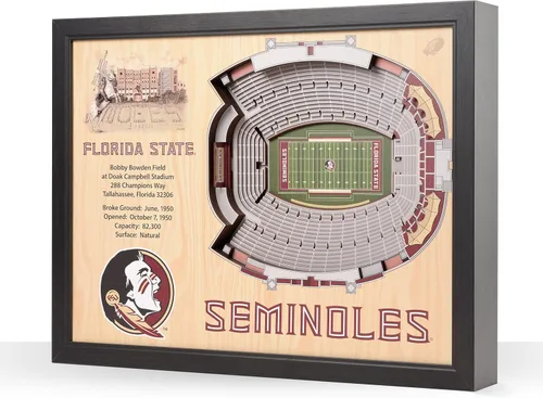 Vista 46 de YouTheFan NCAA Arte de Pared StadiumView de 25 Capas