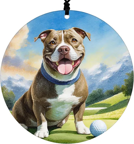 Vista 8 de Adorno de Navidad de Pitbull - Adorno colgante deportivo para el hogar con diseño temático de béisbol - Adorno de disco acrílico 2025 para árbol