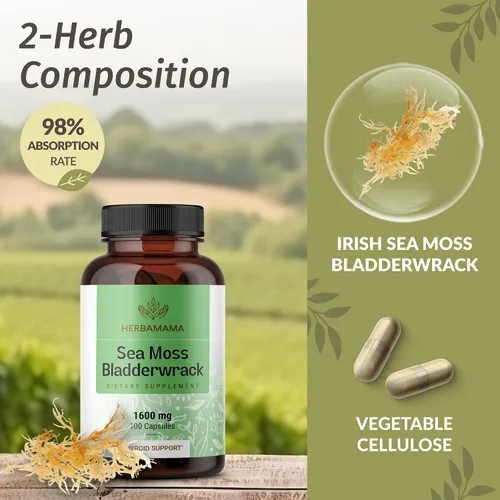 Vista 4 de HERBAMAMA Cápsulas de musgo marino y riachuelo, 1600 mg de musgo marino irlandés para apoyo inmunológico, suplemento de inmunidad vegano, sin OMG