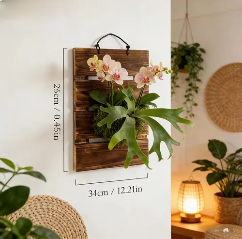 Vista 3 de Kit de tablero de montaje para helecho Staghorn Dranvosk, maceta de pared de madera, soporte colgante para plantas verticales, Platycerium