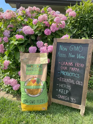 Vista 5 de Alimento para potbelly y mini cerdo sin OMG, 12% de proteína para cerdos maduros, fortificado con vitaminas A, D, E, minerales y algas, bolsa de 40