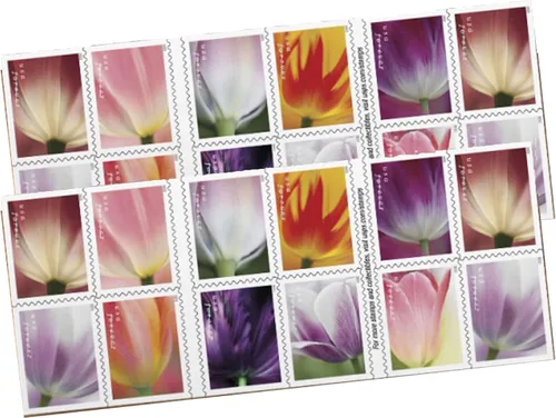 Vista 12 de USPS 2023 Tulip Blossom Forever - Sellos postales de primera clase (20 unidades)