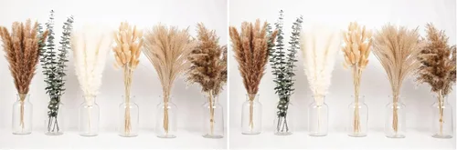 Vista 6 de 10 tallos de 46 pulgadas, decoración de hierba blanca de las pampas alta, hierba de pompas grande, ramo de decoración del hogar boho neutro, hierba