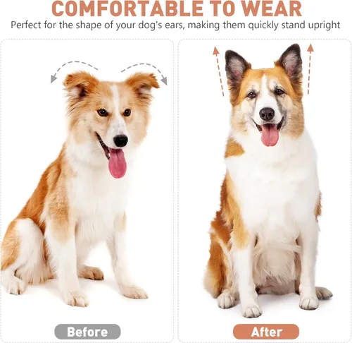 Vista 9 de Cinta de pie para orejas de perro, kit de soporte para orejas de cachorro, accesorio para cachorros medianos y grandes, 8.07 x 4.33 pulgadas