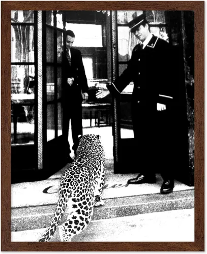 Vista 18 de Poster Master Póster de leopardo – Pantera en impresión de boutique de moda – Arte de fotografía – Arte animal – Arte en blanco y negro – Arte