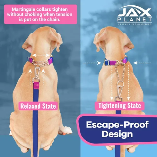 Vista 4 de Jelly - Collar para perro martingala impermeable, collar de nailon sin tirones con hebilla de metal de aleación y anillo en D para entrenamiento