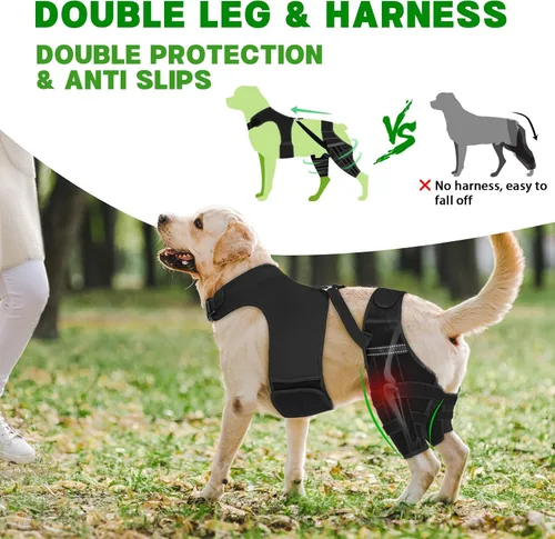 Vista 3 de Rodillera de perro para pierna trasera, soporte ajustable para piernas de perro con 4 estabilizadores, soporte de cadera para reducir el dolor