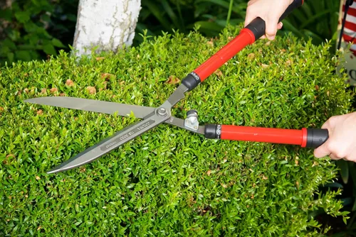 Vista 2 de Corona Tools Tijeras extensibles para setos de 10 ″ - Recortadora telescópica de jardín para setos, arbustos y paisajismo