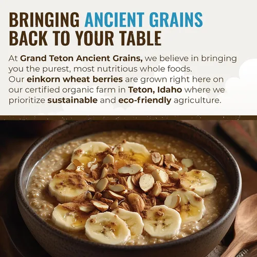 Vista 6 de Grand Teton Ancient Grains - Bayas de Einkorn 100% orgánicas, Farro Piccolo de grado alimenticio premium, bayas de trigo Einkorn, grano Einkorn