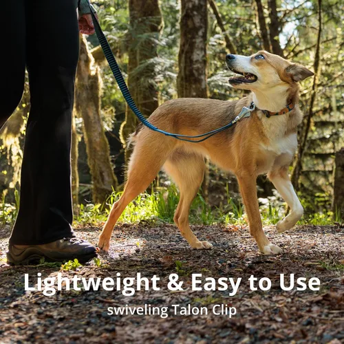 Vista 5 de Ruffwear, Roamer - Correa elástica para perro para correr, andar en bicicleta o senderismo, se puede utilizar de mano o manos libres, azul Orión