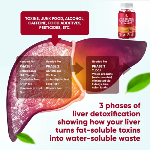 Vista 2 de VV Naturals Suplemento de desintoxicación y reparación de limpieza hepática, 700 mg de glutatión reducido, cardo mariano y ácido alfa lipoico, sin