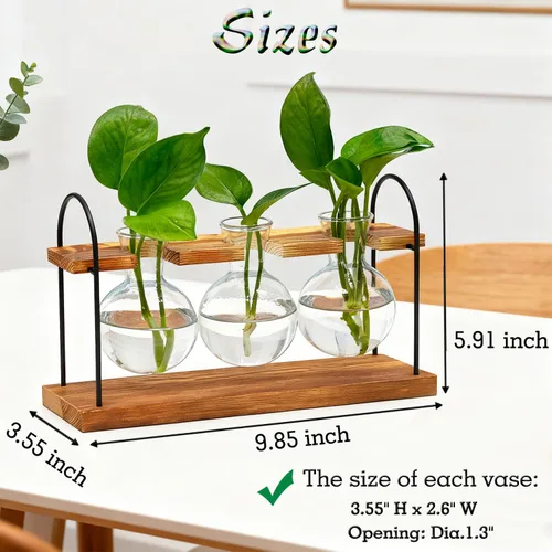 Vista 5 de Terrario para plantas con soporte de madera, el mejor regalo para los amantes de las plantas, estación de propagación con bombillas de vidrio retro