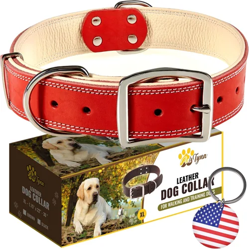 Vista 10 de ADITYNA Collar de perro de cuero negro resistente para perros pequeños, acolchado suave para mayor comodidad, collar de perro pequeño para caminar