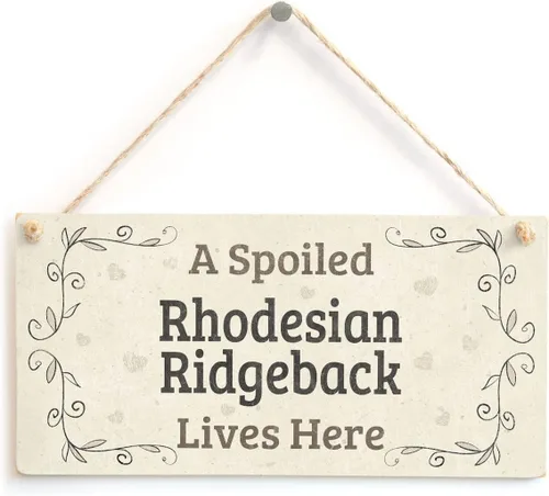 Vista 3 de Meijiafei A House is Not A Home Without A Boxer - Letrero vintage para perro, placa de 10 x 5 pulgadas