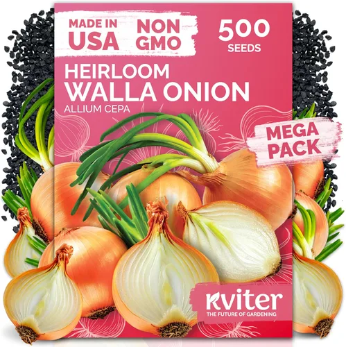 Vista 44 de KVITER 50 semillas de calabaza de azúcar orgánicas (Cucurbita Pepo) – Semilla de calabaza pequeña reliquia, carne dulce de grano fino para enlatar