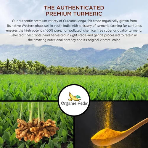 Vista 7 de Organic Veda Polvo de cúrcuma, origen único nativo, rico en curcumina amarilla dorada, polvo de raíz de cúrcuma orgánica USDA 100% – Cúrcuma suave