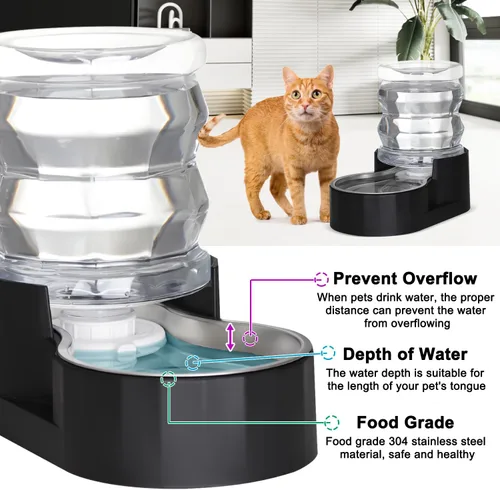 Vista 6 de RIZZARI Dispensador de Agua para Comida de Perros: Alimentador Grande de Acero Inoxidable Negro de 4L con Filtro Triple - Hidratación Saludable