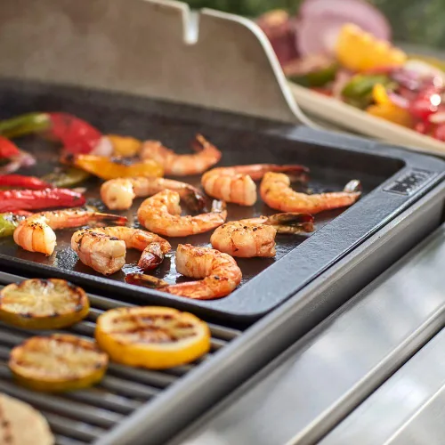 Vista 5 de Weber Genesis II Plancha