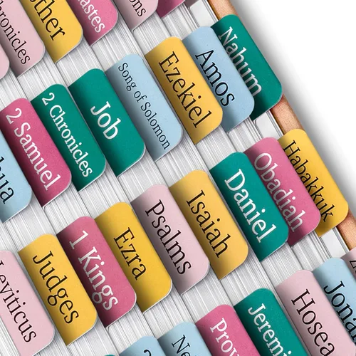 Vista 22 de Mr. Pen - Pestañas de la Biblia, 75 pestañas, tierra otoñal, letras doradas en relieve Laminated Bible Tabs for Women and Men, Bible Tabs for