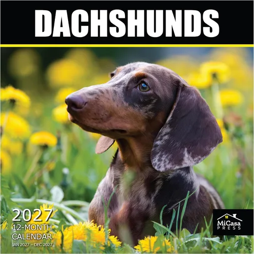 Vista 122 de MICASA PRESS Calendario de pared de Australian Shepherds Aussies 2027 02 - Pastores australianos