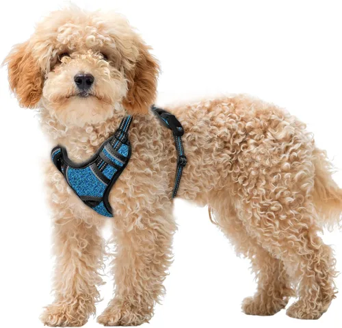 Vista 45 de BARKBAY Arnés para Perro Sin Tirones Talla Grande Arnés Reflectante para Perro con Clip Frontal y Asa de Control Fácil para Caminar Entrenar Correr