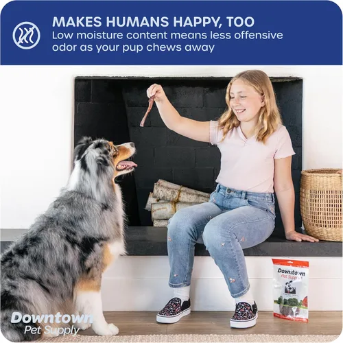 Vista 5 de Downtown Pet Supply Palitos masticables de 6 pulgadas hechos en Estados Unidos para perros, 0.5 libras, masticables para perros sin ocultar de larga