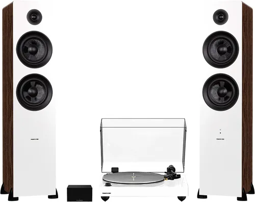 Vista 12 de Fluance RT85N Reference High Fidelity Vinyl Turntable, PA10 Phono Preamp and Ai81 Powered Floorstanding Speakers, Nagaoka MP-110 Cartridge, 150W